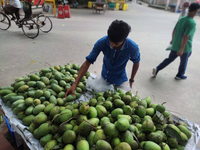 বিক্রির জন্য ভ্যানে আম সাজিয়ে রাখা হচ্ছে