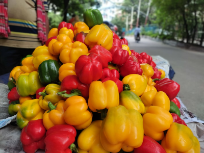 ভ্যানে সাজিয়ে রাখা নানা রঙের ক্যাপসিকাম