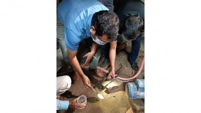 মশার লার্ভা আছে কিনা পরীক্ষা করা হচ্ছে
