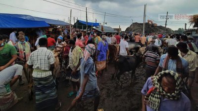 স্বাস্থ্যবিধি ও সামাজিক দূরত্বের বিষয়গুলো ছিল হাটের বাইরে