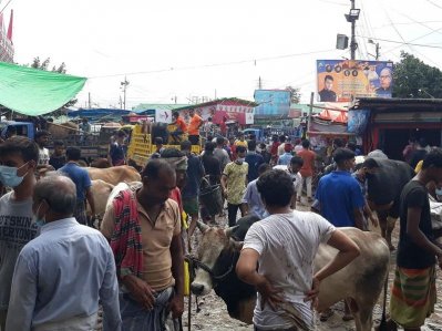 গাবতলী পশুর হাটে স্বাস্থ্যবিধির কোনও বালাই নেই।