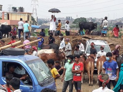 গাবতলী পশুর হাটে স্বাস্থ্যবিধির কোনও বালাই নেই।