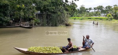 শতবছর পরও জনপ্রিয় স্বরূপকাঠির পেয়ারা