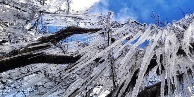 ১৯৫৭ সাল-এর দিকে এমন তুষারপাত হয় দেশটিতে