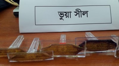 ডা. ঈশিতার আকাশচুম্বী সাফল্য, ডিগ্রি, পুরস্কার ও খ্যাতি সবই ভুয়া