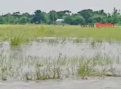 পানিতে ডুবে গেছে ধানসহ বিভিন্ন ফসল