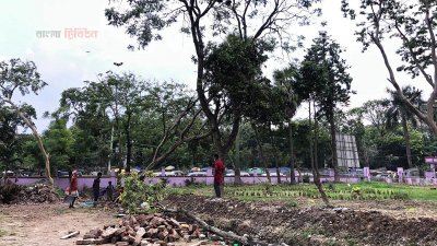 কাটা হচ্ছে গাছ