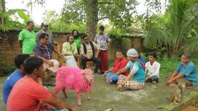 শত পর্বে ‘শান্তি মলম’