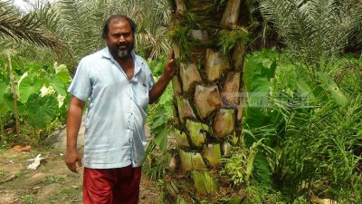 নিজের বাগানে আব্দুল মোতালেব