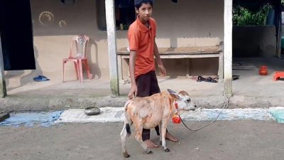 ১৩ মাস বয়সী টুনটুনির উচ্চতা ২২ ইঞ্চি