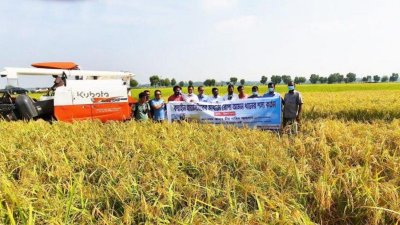 জেলা প্রশাসক মীর নাহিদ আহসান কম্বাই হারভেস্টার চালিয়ে ধান কাটার উদ্বোধন করেন