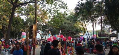 বিজয় দিবসে উৎসবমুখর টিএসসি