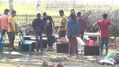 নির্বাচনি পিকনিক
