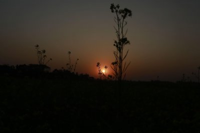 বছরের শেষ সূর্যাস্ত (ছবি: সাজ্জাদ হোসেন)