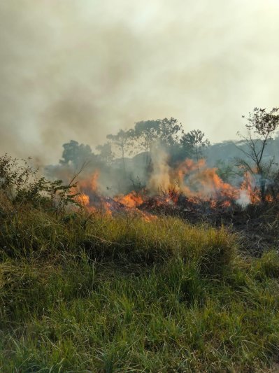 জাবির সংরক্ষিত বনাঞ্চলে আগুন