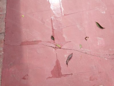 ভবনের টাইলস ও মেঝেতে ফাটল ধরেছে