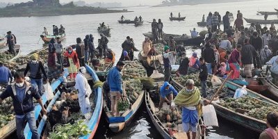 পাহাড়ের আগাম আনারসের চাহিদা বাড়ছে