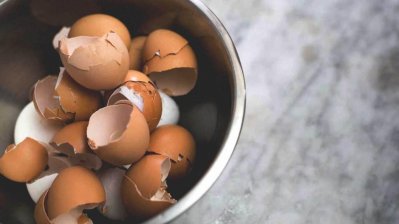 ডিমের খোসা কাজে লাগাতে পারেন যেভাবে
