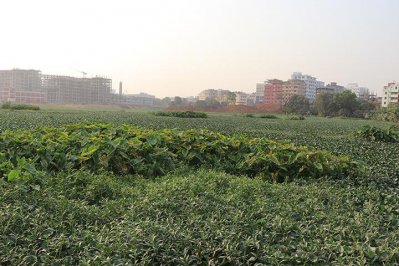বেবিচকের অধীনে কিছু জায়গাতেও আছে জলাশয়