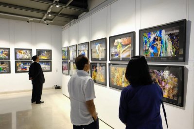 ব্রাজিলের নানা রঙ নিয়ে চিত্র প্রদর্শনী