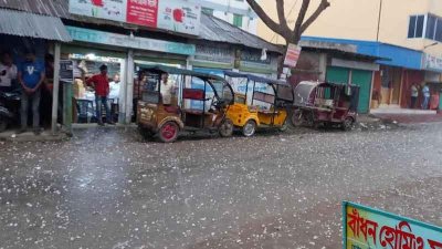 দিনাজপুরে শিলাবৃষ্টি, আম-লিচুর ক্ষতির শঙ্কা