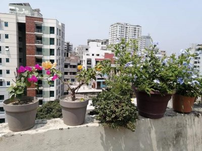 টব সামলে মৃত্যু ঠেকান