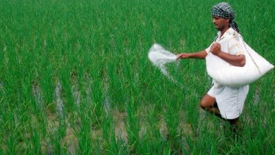 সার সংকটে পড়তে পারে ভারত