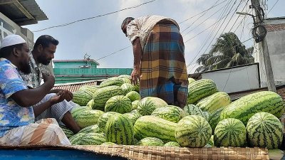 ৪০ টাকার তরমুজ বাজারে ২৫০  