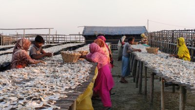 শুঁটকি পল্লিতে নারী শ্রমিকদের কান্না