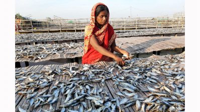 যুগ যুগ ধরে শুঁটকি পল্লিতে বেতন বৈষম্য চলছে 