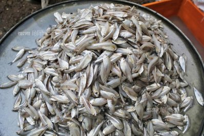 সোয়ারি ঘাটের সকাল (ফটো স্টোরি)