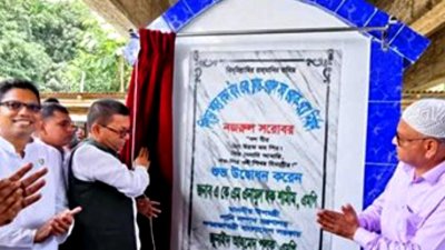 আ.লীগকে ভয় দেখিয়ে লাভ নেই: এনামুল হক শামীম