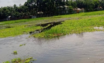 জলাবদ্ধতায় শত একর জমিতে আমন রোপণ করতে পারেননি কৃষকরা