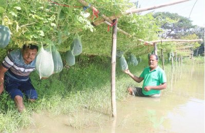 তরমুজের জমিতে শিক্ষক শাহাবাজ