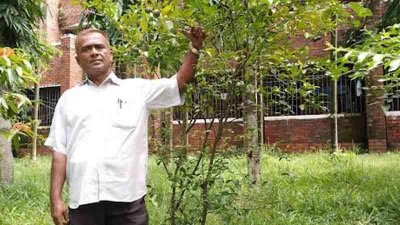 বিভিন্ন প্রজাতির গাছের চারা রোপণ করেন তিনি। পরিবেশ সুরক্ষায় বিভিন্ন প্রজাতির গাছের চারা রোপণ করেন জাফর উদ্দিন 