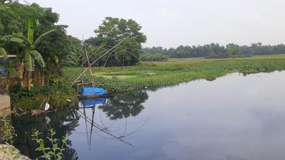 কারখানার বিষাক্ত পানিতে নষ্ট হচ্ছে ফসলি জমি, মরে যাচ্ছে মাছ