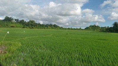বান্দরবানের তুমব্রু সীমান্ত এলাকা