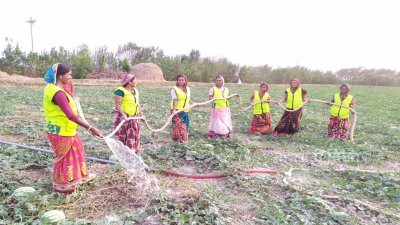 কৃষিজমিতে কাজ করছেন উপকূলের নারীরা