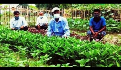 কৃষিগ্রামে কর্মকর্তা শফিকুল ইসলাম (ফাইল ছবি)