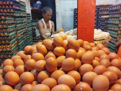 ছবি: আতিক হাসান শুভ