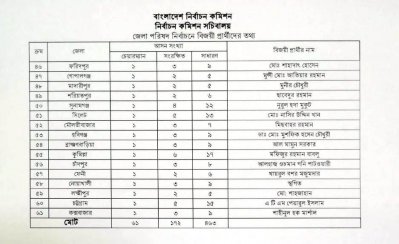 জেলা পরিষদে চেয়ারম্যান নির্বাচিত হলেন যারা