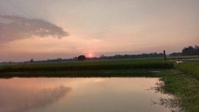 হেমন্ত এসেছে নীরবে