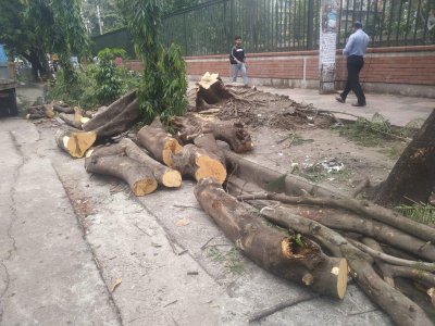 রাজধানীতে ঝড়বৃষ্টির সময়ে ১৭ স্থানে আগুন, ভেঙে পড়েছে অনেক গাছ