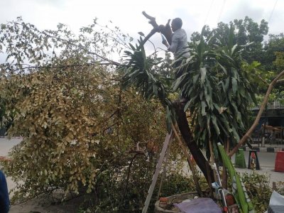 রাজধানীতে ঝড়বৃষ্টির সময়ে ১৭ স্থানে আগুন, ভেঙে পড়েছে অনেক গাছ