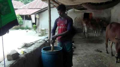 অণুজীব সারে ধানের ভালো ফলনের আশা