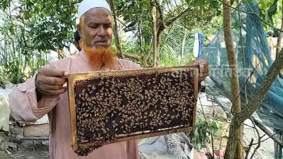এলাকাবাসী তাকে &lsquo;মধু মহসিন&rsquo; নামেই চেনেন
