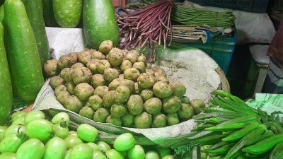 নতুন আলুর কেজি ১৬০