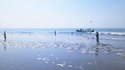 জেলিফিশে ছেয়ে গেছে কক্সবাজার সৈকত