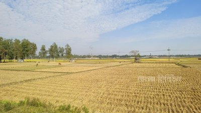 নালিয়ার দোলায় ২৫০ একর জমি বরাদ্দের জন্য প্রতিবেদন দিতে বলেছে জেলা প্রশাসন