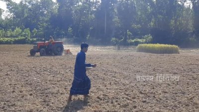 জমিতে সরিষা বুনছেন এক কৃষক